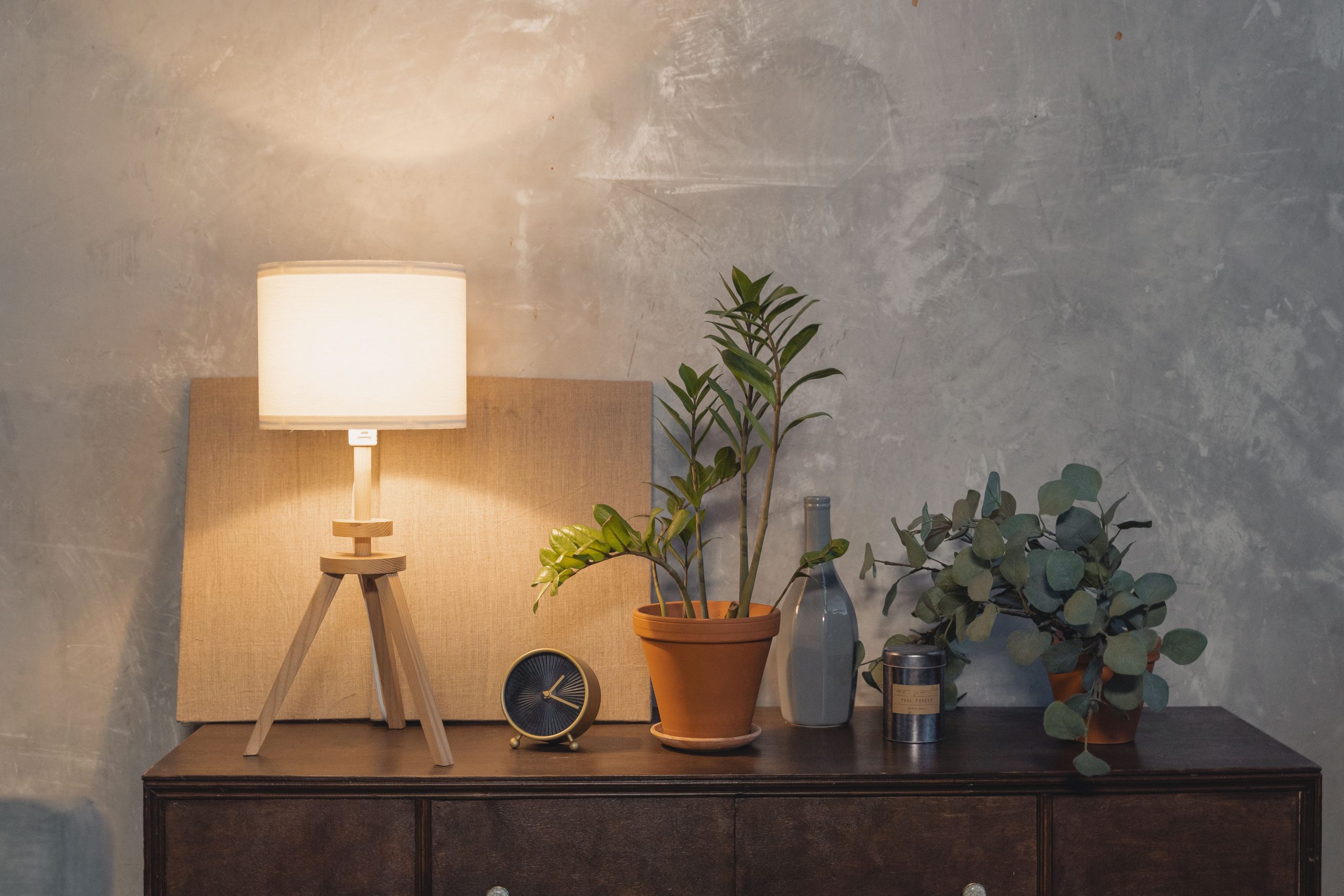 Commode contemporaine avec plantes et lampe minimaliste