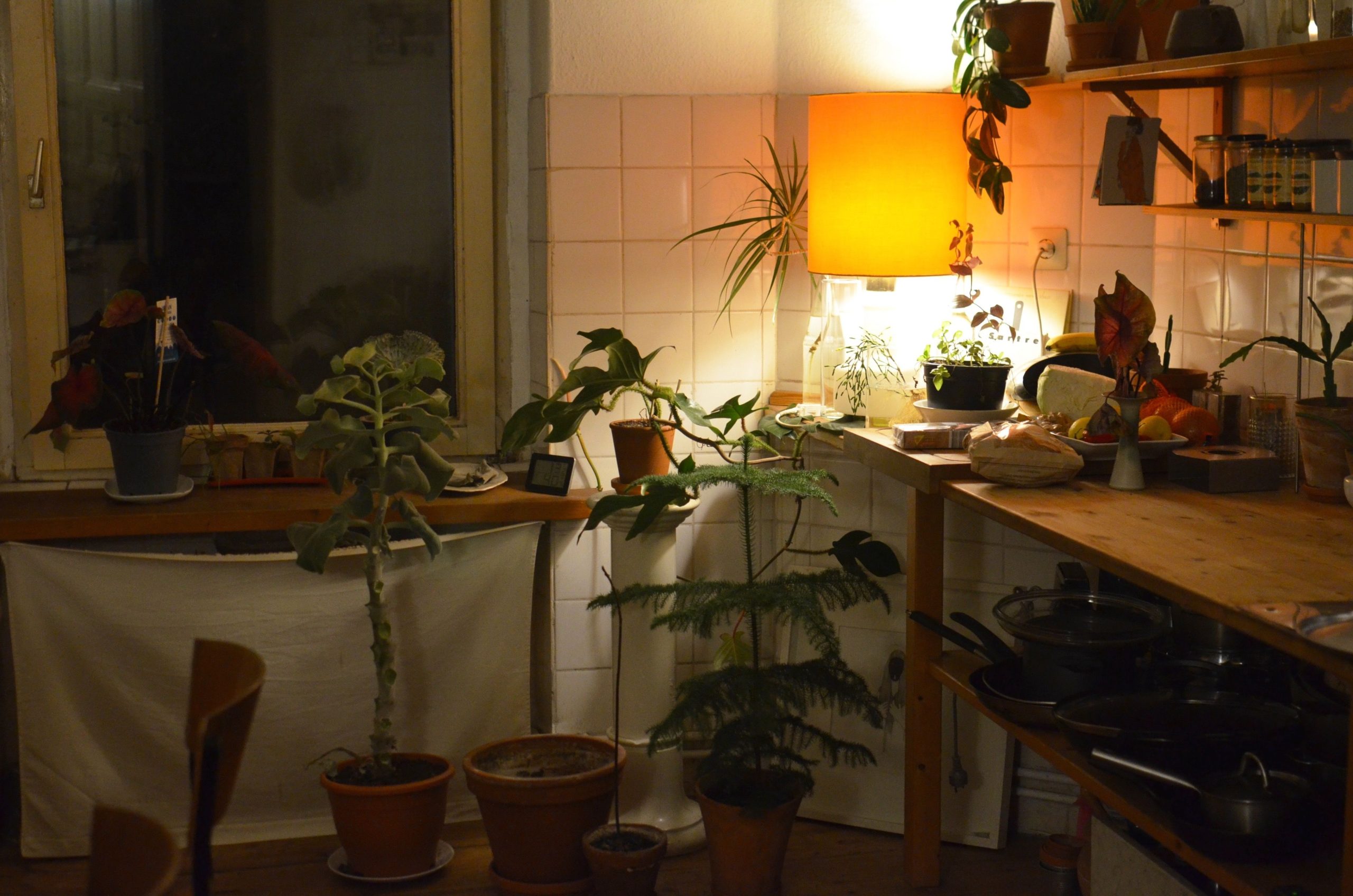 Plantes en pot et lampe brillante dans intérieur moderne