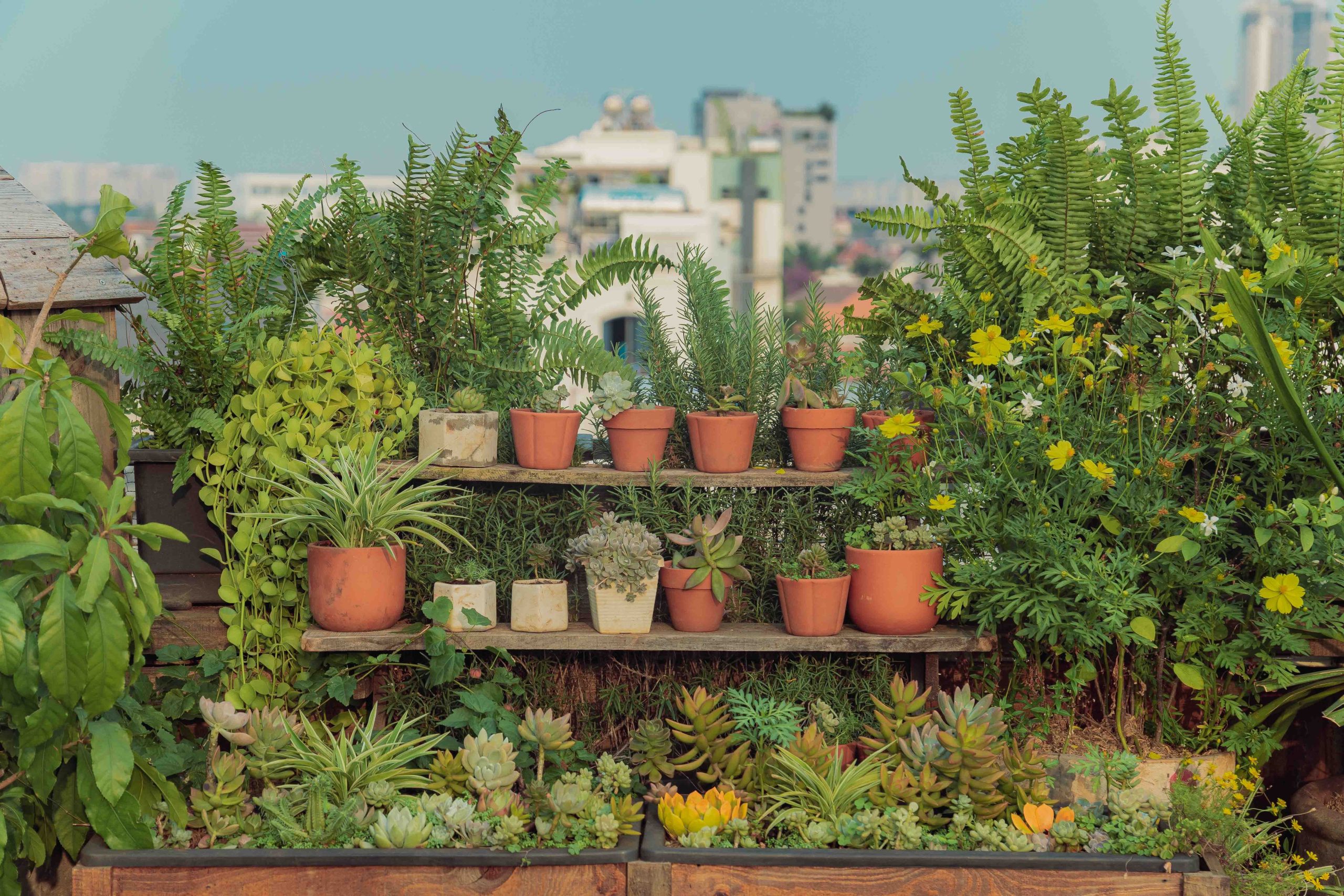 Jardin terrasse urbain coloré avec plantes en pots