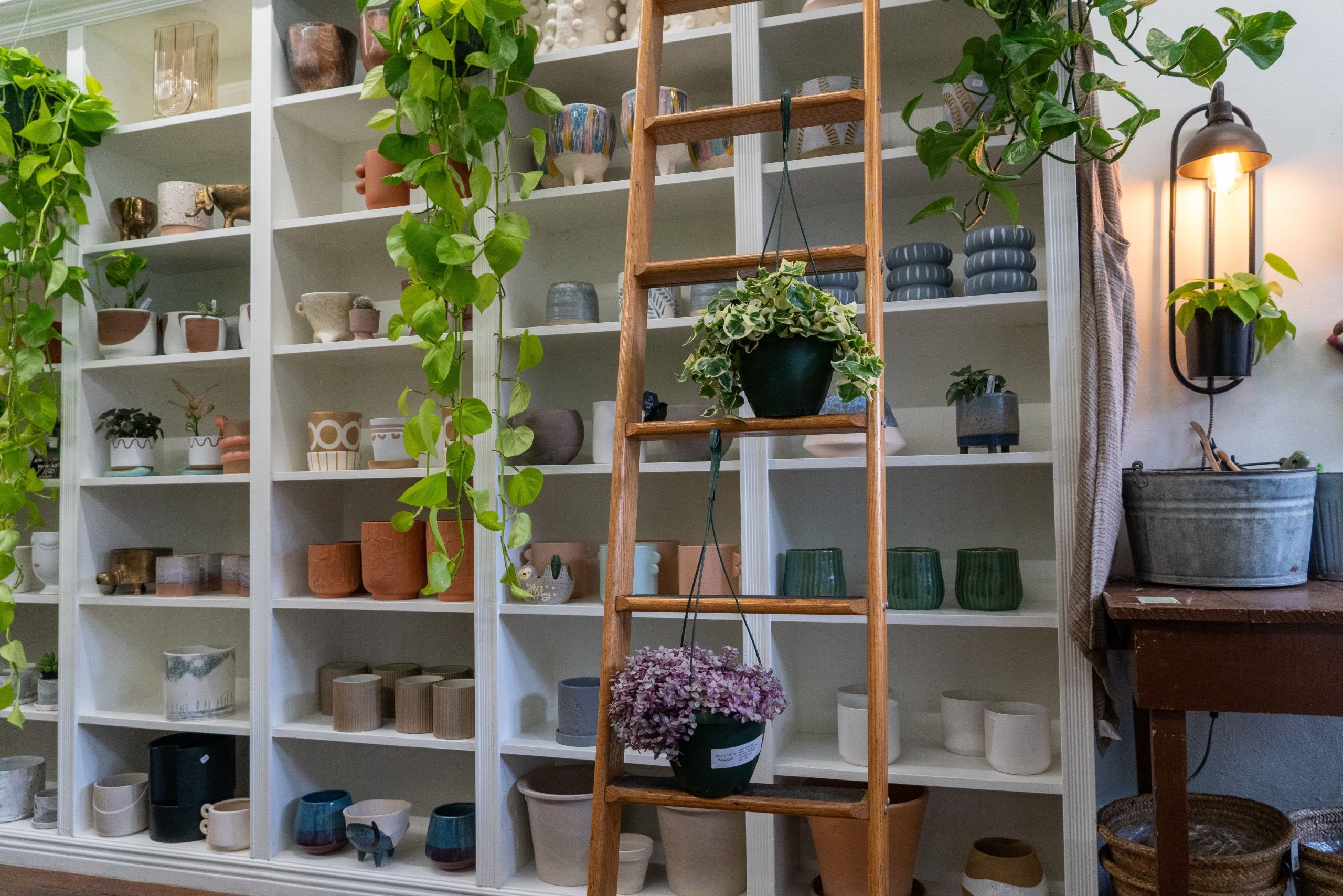 Boutique de céramiques avec plantes vertes intérieures