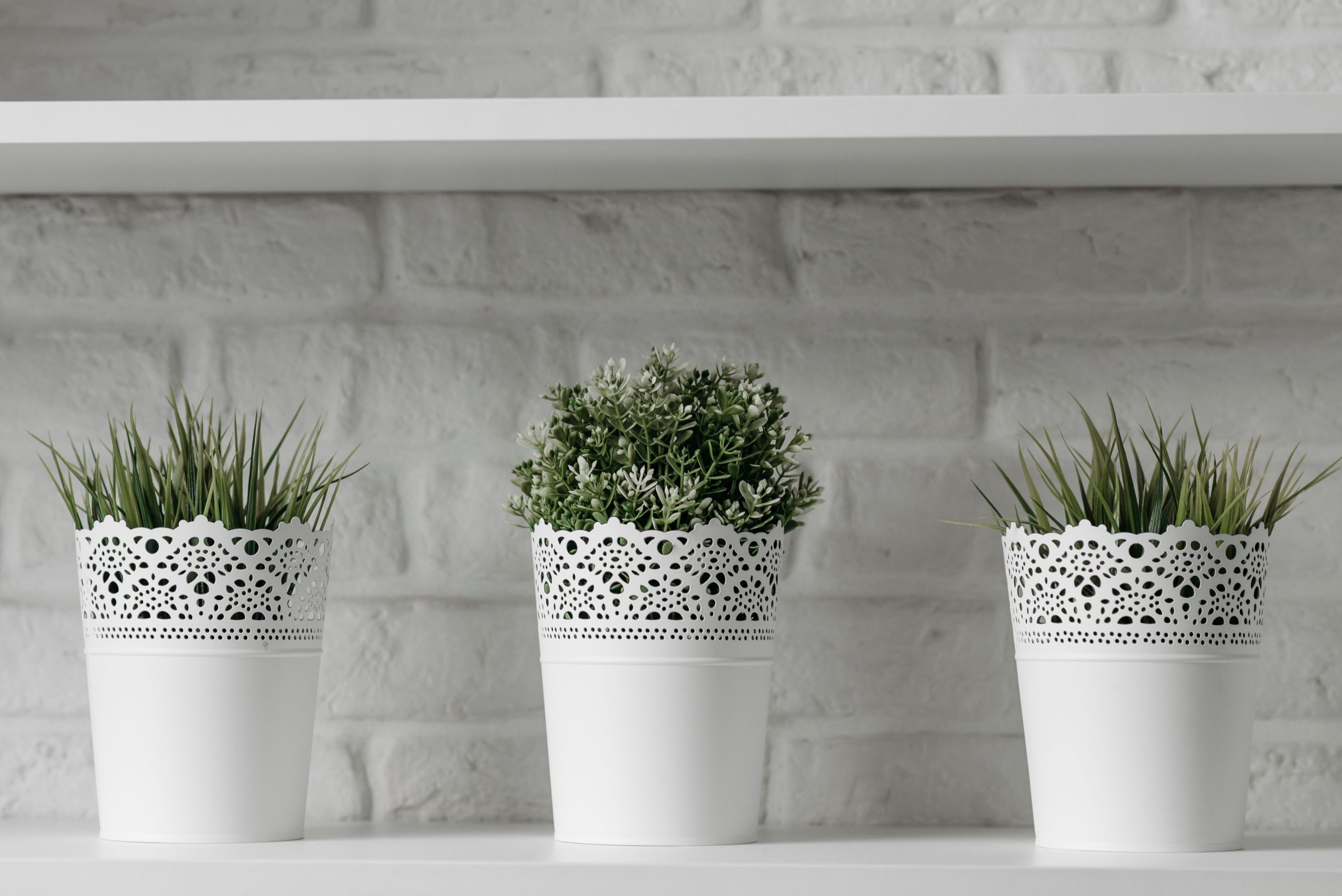 Trois cache-pots blancs décorés sur étagère minimaliste.