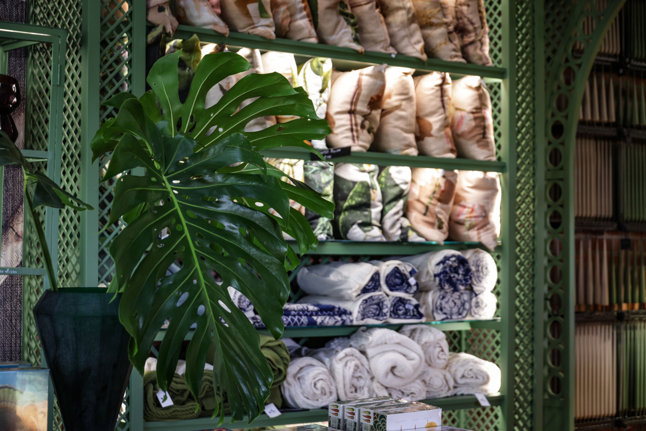 Intérieur chic d'une boutique déco végétale